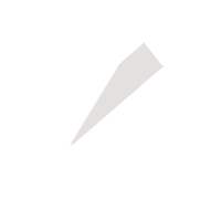 德州临时保镖服务